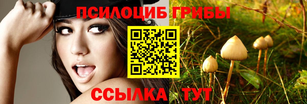Псилоцибиновые грибы GOLDEN TEACHER  Вход с VPN  Южно-Сахалинск  Псилоцибиновые грибы Psilocybine cubensis 